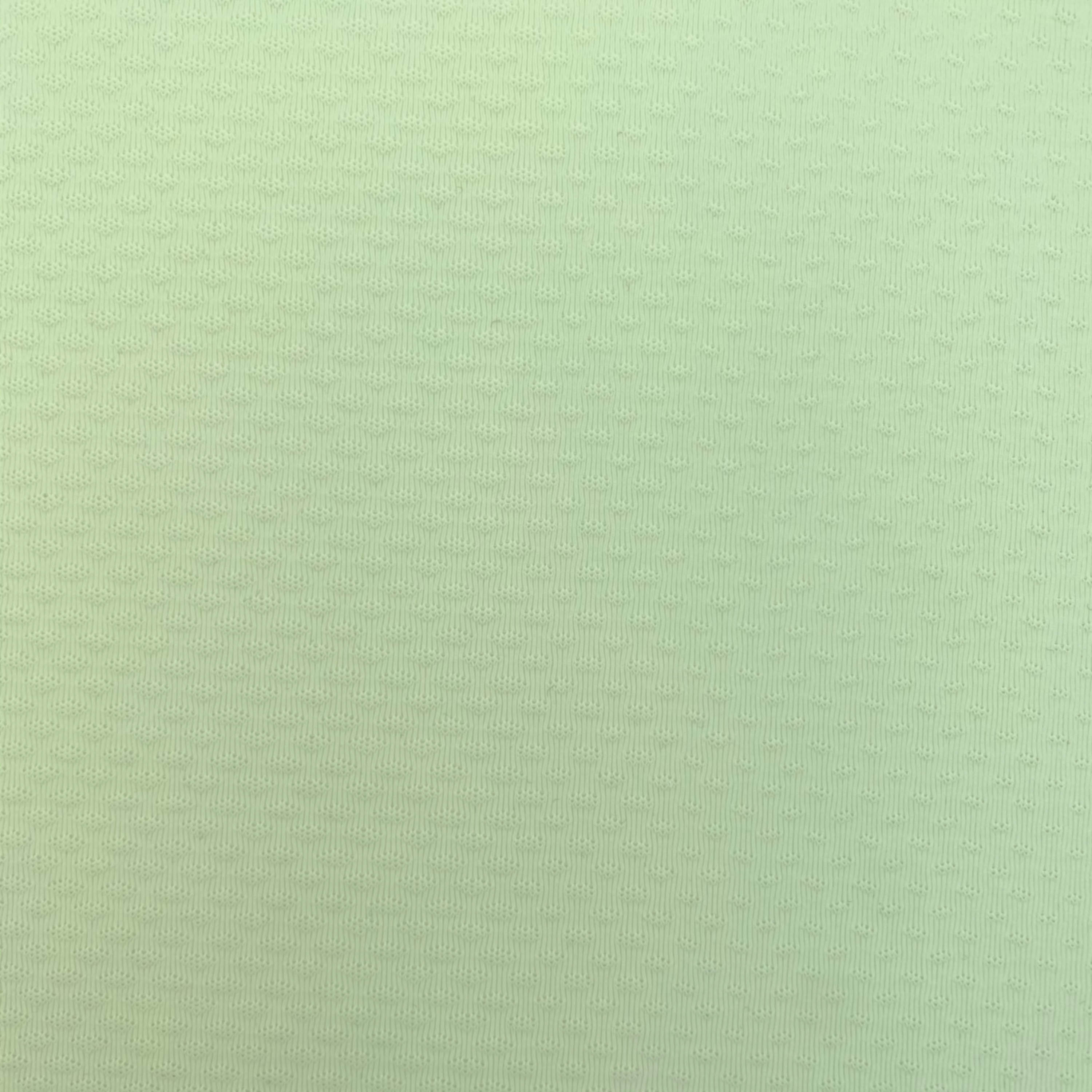 PALE GREEN MESH SINGLE JERSEY FABRIC